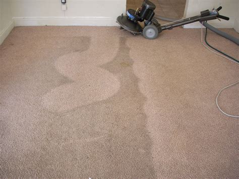Maybe you would like to learn more about one of these? La Carpet Cleaner Pro in West Palm Beach, FL | (561) 880 ...