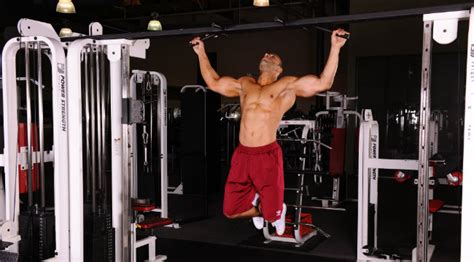You don't have all the time in the world to spend in the gym. 5 Golden Rules for Beginning Weight Trainers | Muscle ...