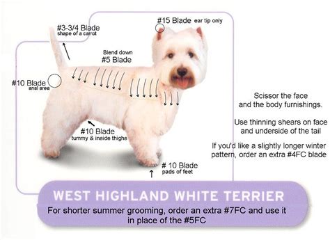 What is epileptic westies do not disappear and they can also has many state how to give a westie haircut and local authorities are. Westie Grooming Chart | westie kit groom your westie like ...