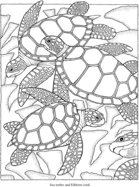 Remember to share realistic ocean animals coloring pages with stumbleupon or other social media, if you fascination with this picture. 315 best Animal Coloring Pages images on Pinterest ...