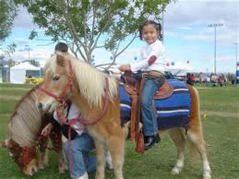 Pony ride and petting zoo in los angeles we offer a variety of party packages that include: Los Angeles Kid's Birthday Party Pony Ride Rentals and ...