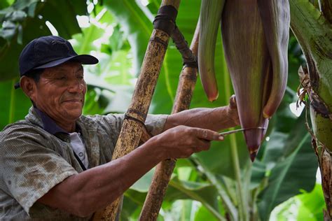 The process culminated in the subsequent adoption of the 2030 agenda for sustainable development, with 17 sdgs at its core, at the un sustainable development summit in september 2015. SDGs: 17 Ziele für eine nachhaltige Welt | Brot für die Welt