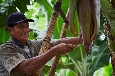 Die 17 ziele für nachhaltige entwicklung (sustainable development goals, kurz sdgs) sind politische zielsetzungen der vereinten nationen, die der sicherung einer nachhaltigen entwicklung auf. SDGs: 17 Ziele für eine nachhaltige Welt | Brot für die Welt