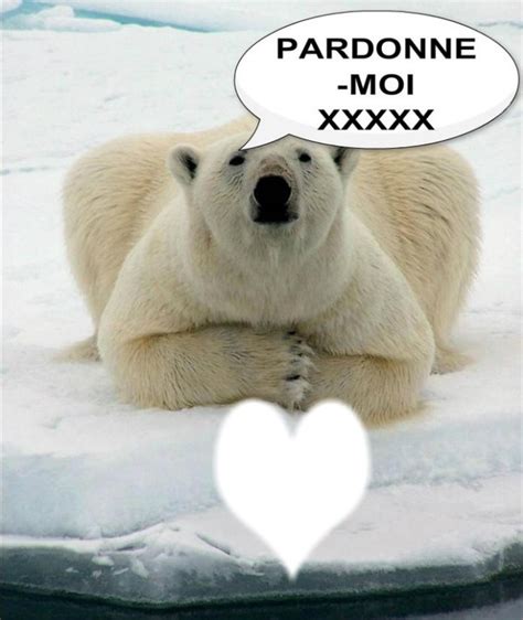 Trouver la ours polaires photo idéale une vaste collection un choix incroyable plus de 100 millions dimages ld et génial image ours polaire vous motiver à être utilisé dans votre manoir conception et style plan avenir prévisible encouragé pour mon personnel website. Photo Plage Ours Polaire Montage - dsullana.com