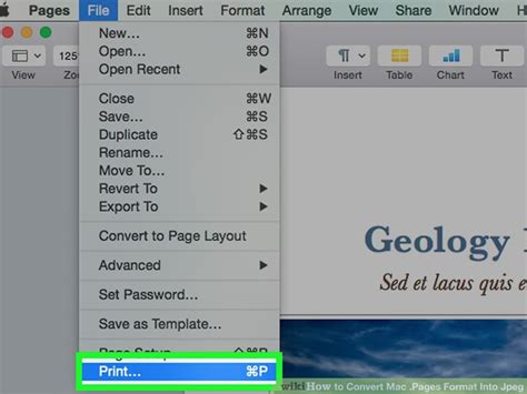 Support for most graphics formats. How to Convert Mac .Pages Format Into Jpeg: 7 Steps