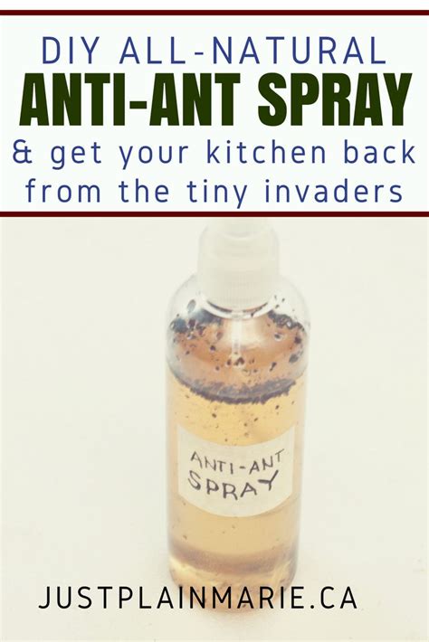 All sprays for ants or other insects killing contain special chemicals, such as boric or borax acid, that are harmful to insects. Organic Ant Spray | Ant spray, Ants, Pest control