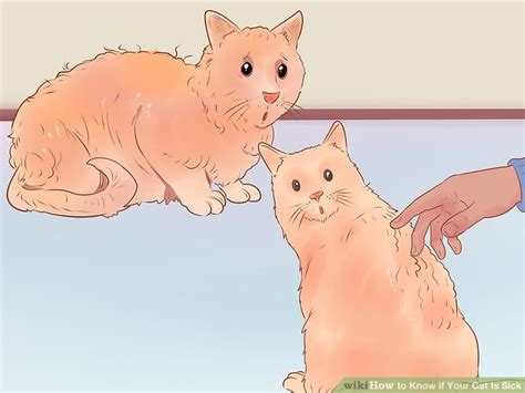 The annoying thing is that. 4 Ways to Know if Your Cat Is Sick - wikiHow