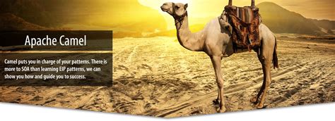 A route is like a instruction definition to camel on how to move your messages from one point to another. Apache Camel - Savoir Technologies