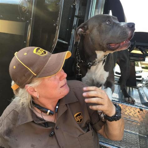 Each one had at least one hidden lesson, but what stood out to me the most was the message of humility, in spite of one's. When This Pit Bull's Owner Passed Away, His Favorite UPS ...