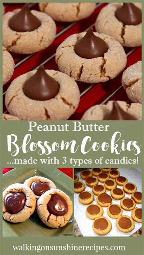 Recipes and baking tips covering 585 christmas cookies, candy, and fudge recipes. 15 Delicious Christmas Cookie Recipes| Walking On Sunshine ...