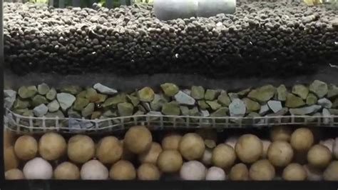 23.05.2007 · if you are not yet comfortable with the idea of an undergravel filter, or still new to the fish keeping hobby please be absolutely sure that you can complete a diy aquarium project. Undergravel Filter shrimp - YouTube