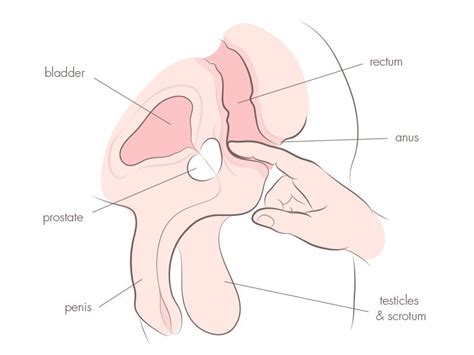 While a little vibration is normal, loud thumps and bumps are not. Male prostate masterbation nude pics of military females ...