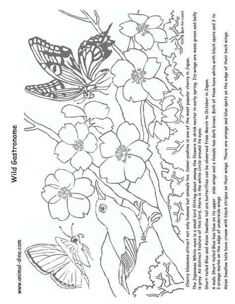 Find the perfect orange blossom stock illustrations from getty images. Coloring Page Happy Orange Blossom Strawberry Shortcake ...