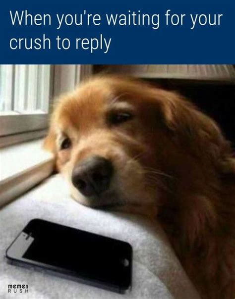 This makes everything a lot easier to accept. 11 Funny Crush Memes That Will Make You Laugh | Funny ...