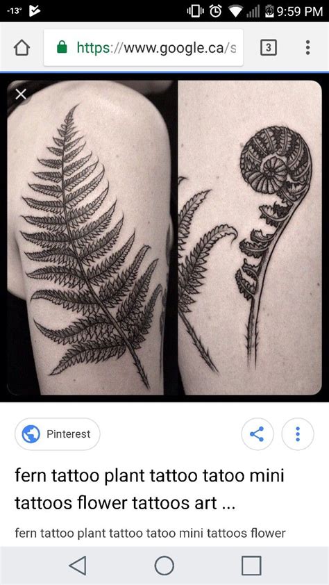 Look at the meanings of different leaf tattoo. Pin by Jillian Bennett on Ink | Fern tattoo, Sleeve tattoos