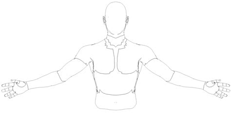 Arterial supply of the upper extremity. Diagrams of the upper extremities and torso