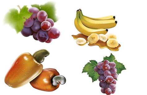 🚛 myfruits offer wide ranges of fruits as your healthy companion while you are resting at home or. "My fruits" by balom | Redbubble