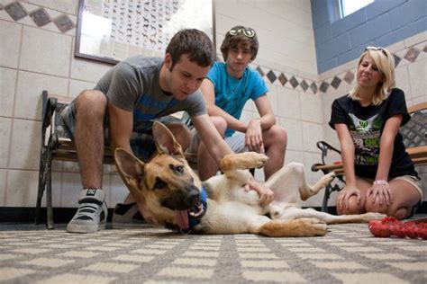Richardson pet adoption fees waived this week for 'Clear ...