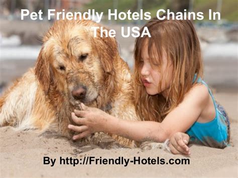 We get a lot of inquiries about specific hotel chains' pet policies. Best Pet Friendly Hotels Chains In The USA That Welcome ...