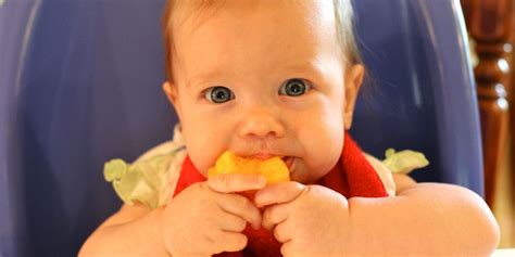 Waktu terbaik untuk mengonsumsi vitamin c. Selain Gosok Gigi, Beri Anak Anda Makan Buah Ada Vitamin C ...