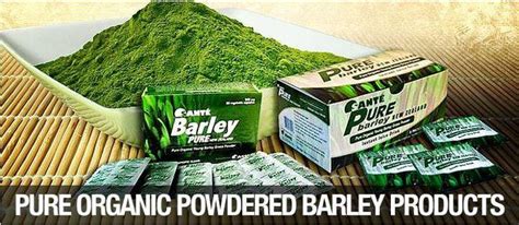 When i did as soon as i got the chance i made. The Pure Barley Benefits: Facts About Barley