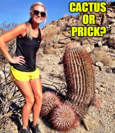 Welcome to cactus club cafe. M'Lady called me a Dick-Four for posting this - Imgflip