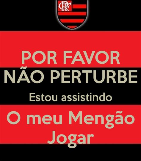 Jogos do time de flamengo: Resultado de imagem para nao perturbe assistindo jogo do ...