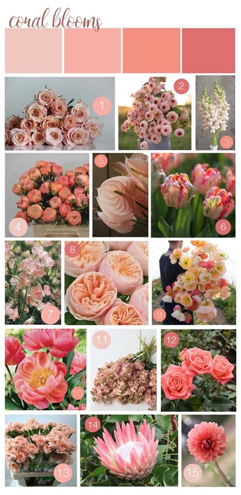 Check spelling or type a new query. Color of the Year : Coral Flowers for your Wedding Day ...