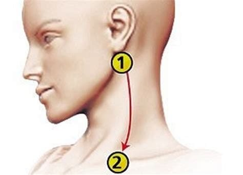 To purchase your own blood pressure. Chinese Medicine: How To Lower Increased Blood Pressure ...