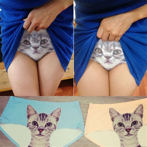Queens (breeding female cats) will sometimes piddle to entice the male. Cat Panties - Shut Up And Take My Money
