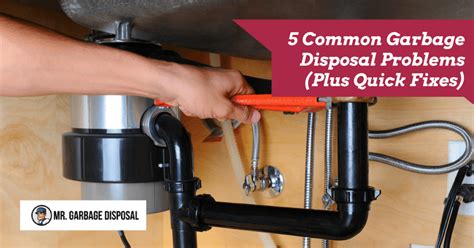 A garbage disposal is a great convenience in every kitchen, considered by some to perhaps be more useful than needed in the kitchen; 5 Common Garbage Disposal Problems (Plus Quick Fixes) 2020 ...