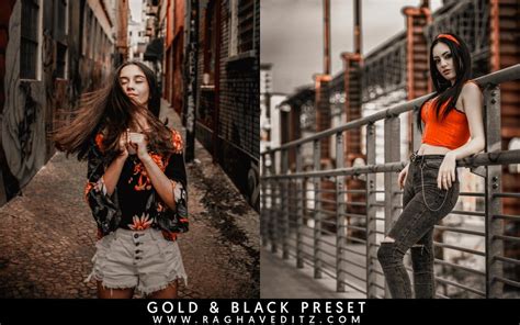 You know a bit about lightroom, but want a quick refresher on what the. Gold and Black Lightroom Preset for Lightroom Mobile ...