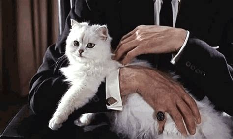Simone is a fictional character from the saw franchise as well as a supporting character in saw vi and 3d. roger moore gifs | WiffleGif