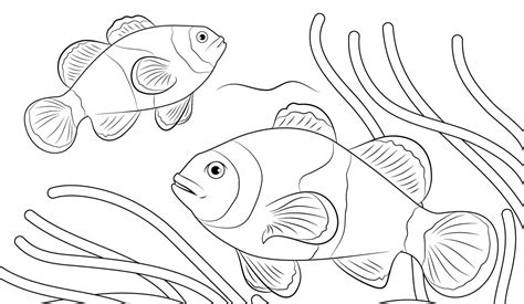 Our system stores mewarnai gambar hewan mewarnai gambar hewan membuat anak mudah memahami nama hewan dan mengerti cara mewarnai hewan dan memudahkan anak untuk. Koleksi Gambar hd: Cara Mewarnai Hewan Laut