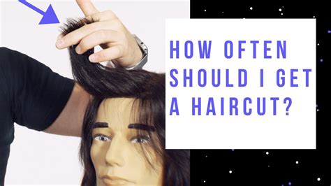 Most haircuts cost around $53 on average. How Often Should I Get a Haircut? - TheSalonGuy - YouTube