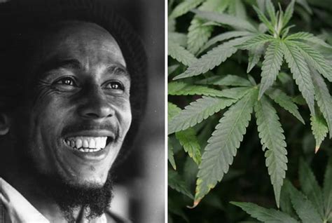 Bob marley & the wailers — rastaman live up 05:27. The Objects 10 Celebrities Took to the Grave | Mental Floss