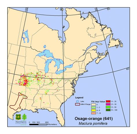 Read my top tips for orange trees are beautiful and add delightful greenery and the aroma of fragrant blossoms to your. Osage-orange (Maclura pomifera) - Climate Change Atlas