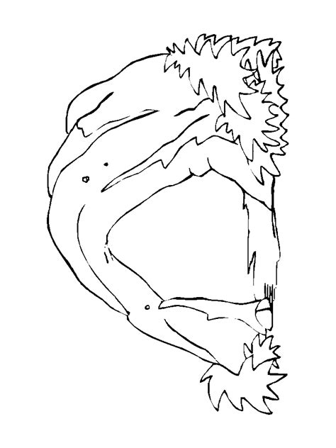 The prehistory coloring pages are great to add to a school project. ESOS LOCOS BAJITOS DE INFANTIL: TIPOS DE CASAS