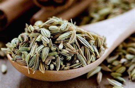 Fennel (foeniculum vulgare) is an aromatic herb that originated in the mediterranean region and has many culinary and medicinal uses. 21 Surprising Benefits of Fennel Seeds for Skin, Hair and ...
