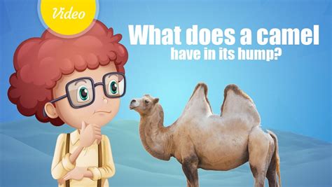 In the beginning of years, when the world was so new and all, and the animals were just beginning to work for man, there was a camel, and he lived in the middle of a howling desert because he did not want to work; What does a camel have in its hump? | Learning Videos for Kids