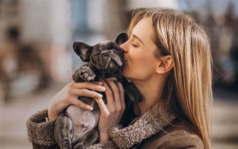 Effective immediately, luxury puppies is proud to offer free home delivery for all puppies purchased online. Puppy Store NYC | Puppies for Sale NYC - Central Park Puppies