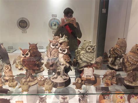 2020 top things to do in penang. The Owl Museum in 2020 | Owl, Owl collection, Museum