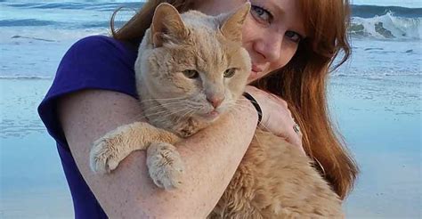 Webmd explains the causes, symptoms, diagnosis, and treatment of kidney failure in cats. Woman Adopts 21 Year Old Cat To Give Him Best Remaining ...