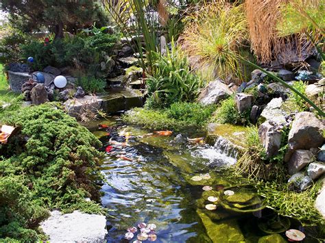 Teichbau für naturnahe und nachhaltige teiche. Fotos Water Natur Teich Garten