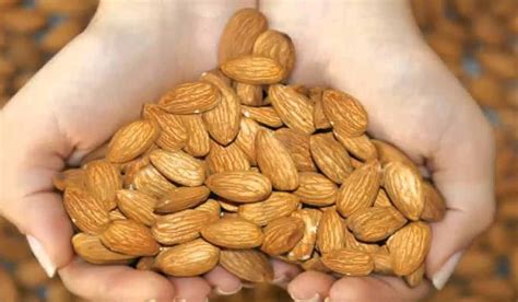 بعض الزيوت خفيفة ومالها ريحة قوية أو مزعجة مثل زيت اللوز الحلو وزيت الارقان هذي تستخدم ايضاً كمرطب بعد غسل الشعر وذلك عن طريق وضع من قطرة. فوائد اللوز النيء , تعرف على اهم فوائد اللوز كنز طبيعي ...