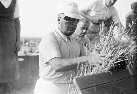 Ogni la bontà della pasta non dipende dall'origine del grano ma dalle sue qualità. Il data blog del Corriere della Sera: dati sui Paesi del ...