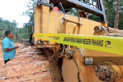 Wakil hanya boleh dilantik bagi pihak pemilik berdaftar atau pemunya baharu bagi kenderaan selain milik persendirian individu; Lucut hak milik 18 jentera ceroboh hutan | Wilayah ...