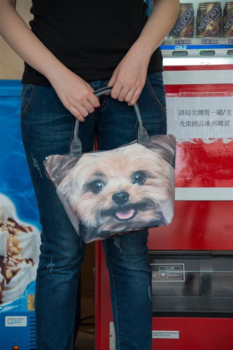 Ingrosso divertente federe dalla directory grossisti divertente federe cinesi. borse-federe-cuscini-stampe-foto-animali-cani-gatti ...