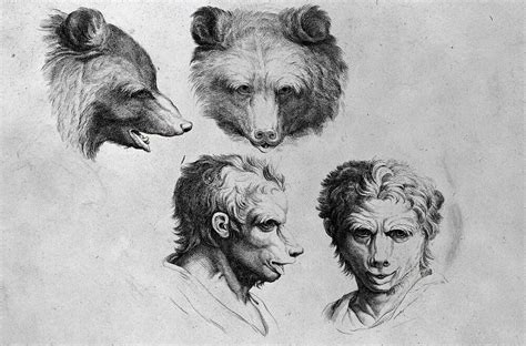 Unless you can prove me wrong. Animal Transformations Drawings from the 1600s | Animals, Sketches, Animal drawings