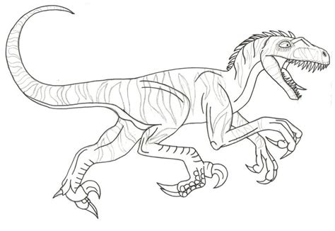 He was very fast and agile creature. Velociraptor Coloring Pages - Free Printable Coloring ...